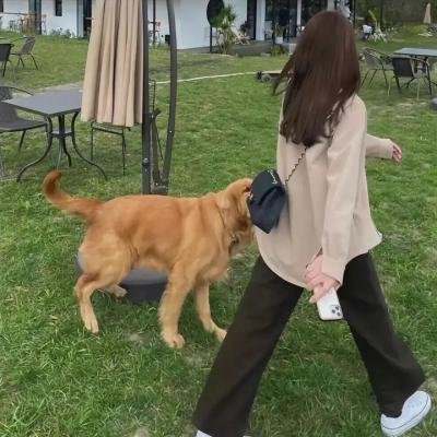 我的冤家住对门